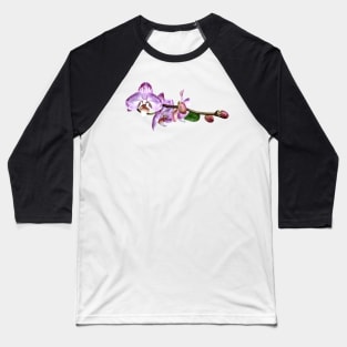 Pale Magenta Phalaenopsis Baseball T-Shirt